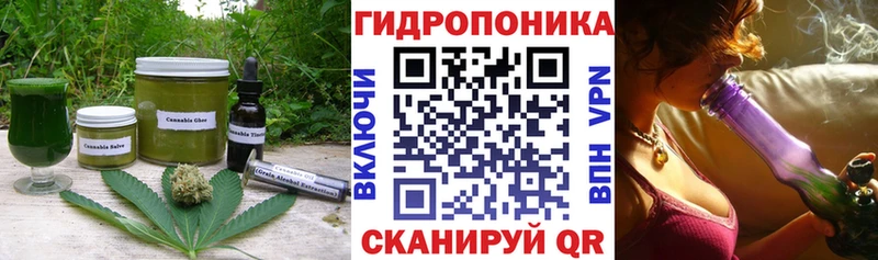где купить наркотик  Отрадное  Cannafood конопля 
